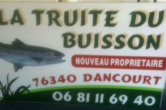 la-truite-du-buisson